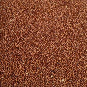 Nagali/ नागली 1kg
