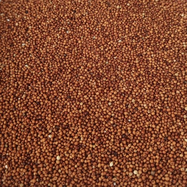 Nagali/ नागली 1kg