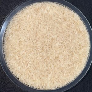 Kolapi 1008 Rice/ कोळपी तांदूळ 1kg
