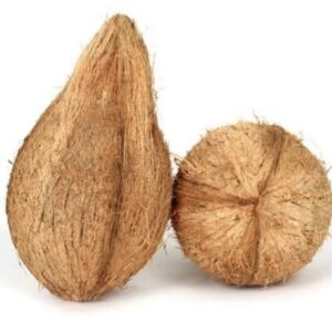 Coconut/ नारळ